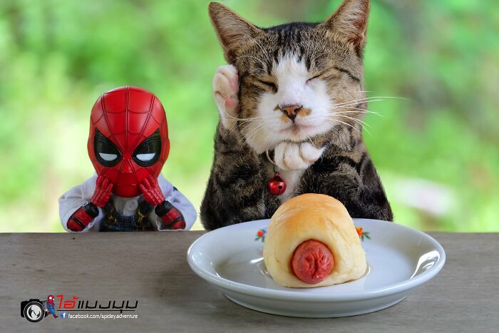 Artist Puts Baby Spider-Man And Animals In The Funniest Scenes (50 New Pics)