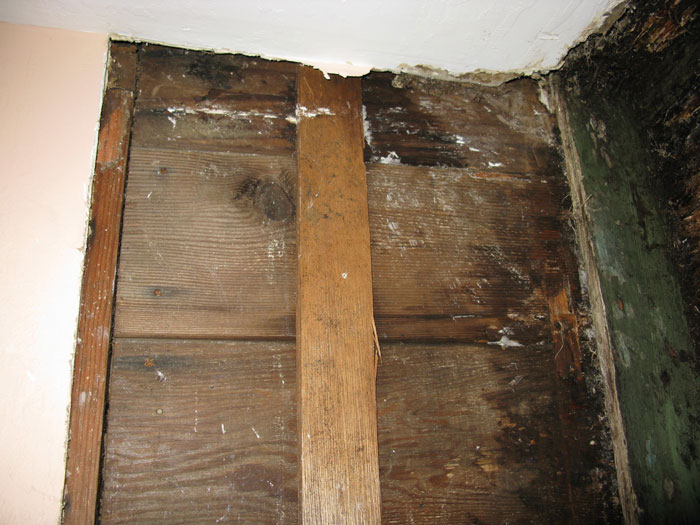 Airbnb Guest Tests Air Quality Due To Mold Smell As The Host Denied The Issue, Gets Alarming Results