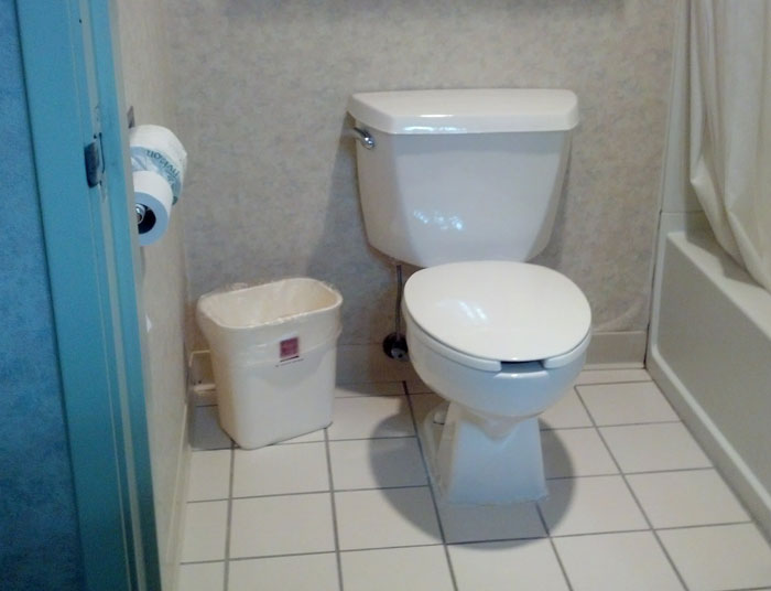 Dad Asks 19YO To Stop Flushing Tampons Down The Toilet Due To Possible Plumbing Issues, Drama Ensues Dad Asks 19YO To Stop Flushing Tampons Down The Toilet Due To Possible Plumbing Issues, Drama Ensues