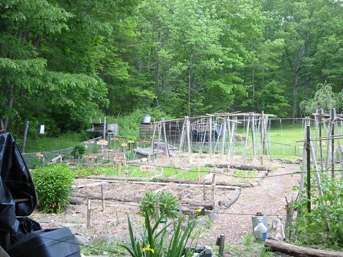 Person Maliciously Complies With Annoying Neighbor Who Kept Asking Them To Cut Down His Tree