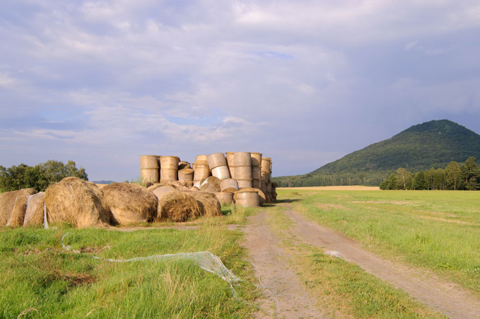 Karen Feels Humiliated Because A Customer Who She Mistook For An Employee Refused To Apologize