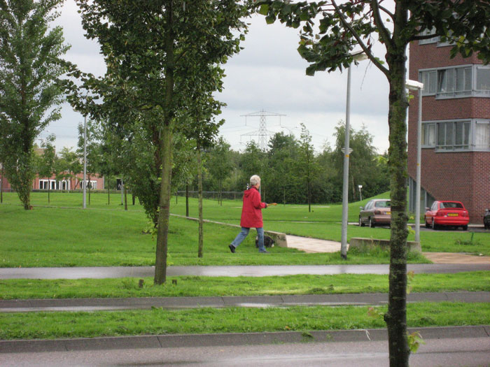 Guy Is Annoyed With Neighbor&rsquo;s Late Evening Chats On The Phone By His Window, Chooses Pettiness