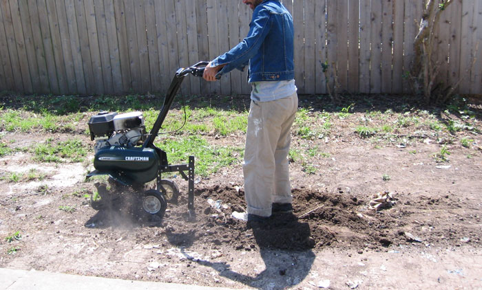Person Maliciously Complies With Annoying Neighbor Who Kept Asking Them To Cut Down His Tree