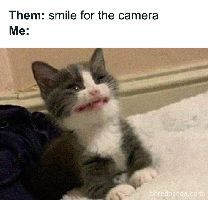 Funny-Kitty-Litterposting-Pictures