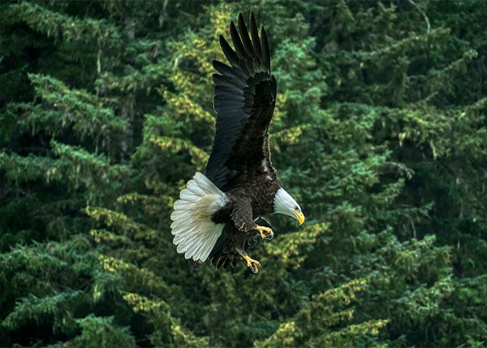 45 Hard-To-Believe Facts That Make People Reevaluate Their View Of The World