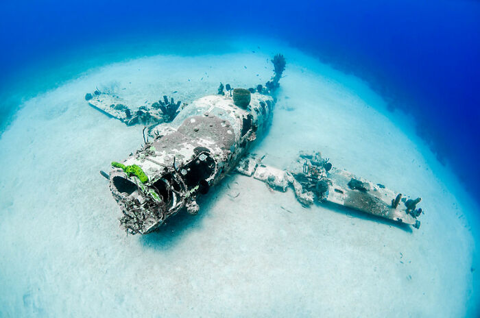 50 “Stupid Facts” That Sound Fake But Are Genuinely Real