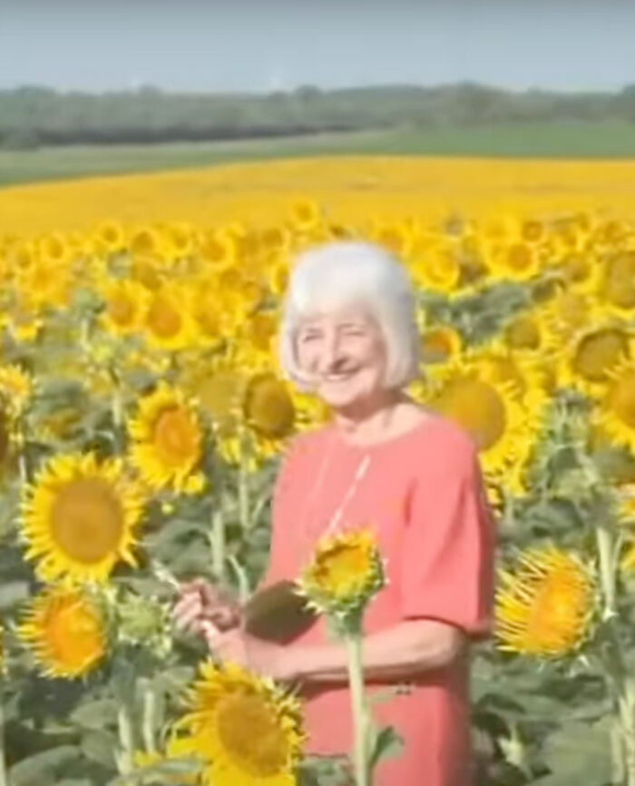 “It Made Me Feel Very Special”: Man Surprises Wife Of 50 Years With A Field Of 1.2M Sunflowers “It Made Me Feel Very Special”: Man Surprises Wife Of 50 Years With A Field Of 1.2M Sunflowers