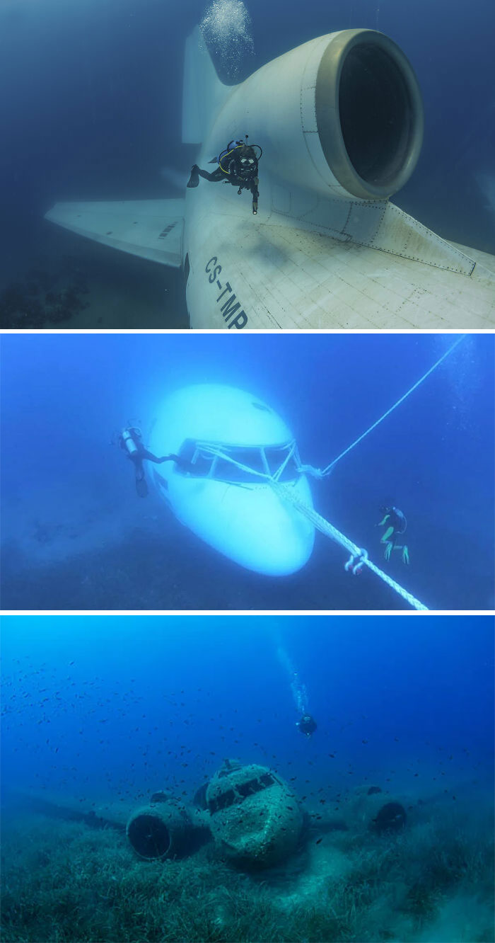 A Collection Of Sunken Planes