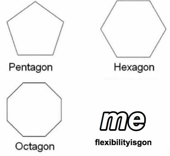 Different geometric shapes labeled pentagon, hexagon, octagon, and "me" captioned with "flexibilityisgon" in a dance meme.