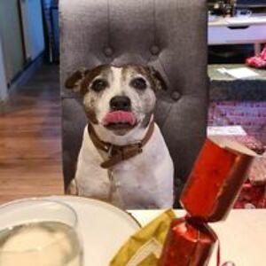 marion_hoadly avatar