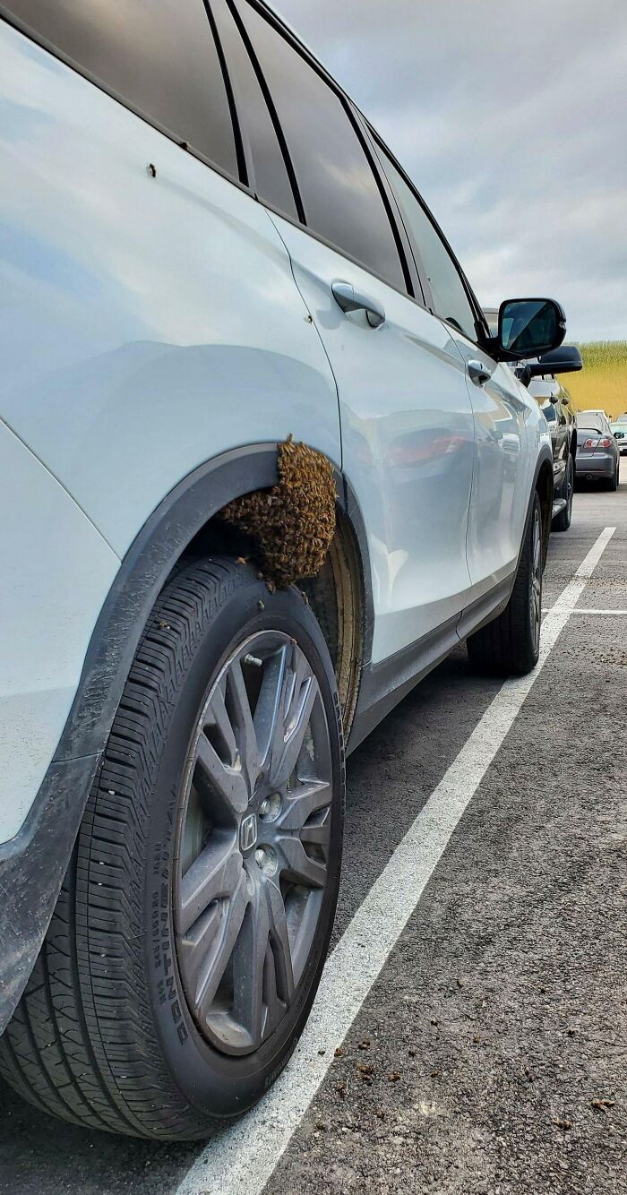 Encontré mi coche así en la pausa del trabajo