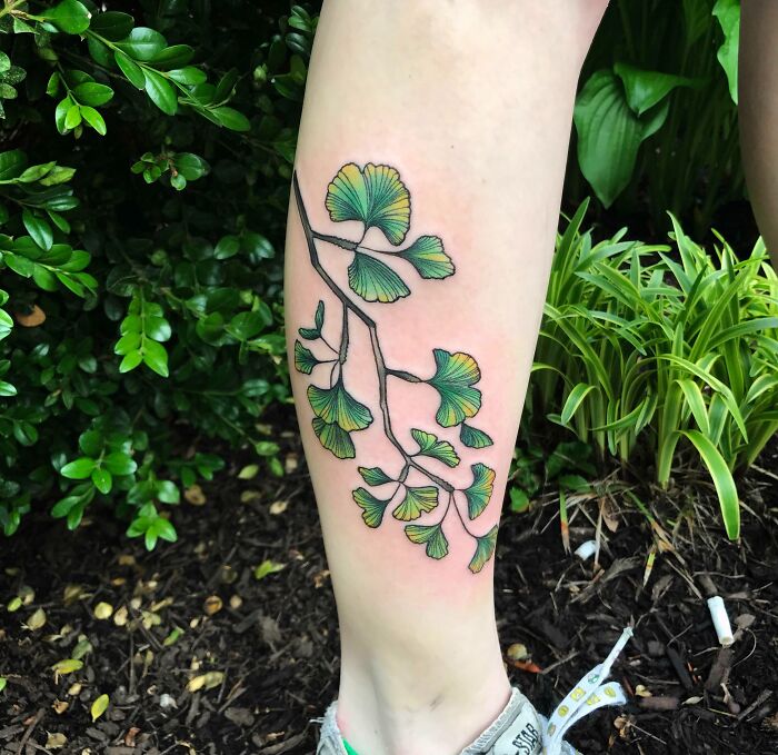 A ginkgo leaf tattoo on a leg, showcasing the wonders of nature with vibrant green and yellow hues.