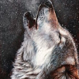 farmlifechannelyt avatar