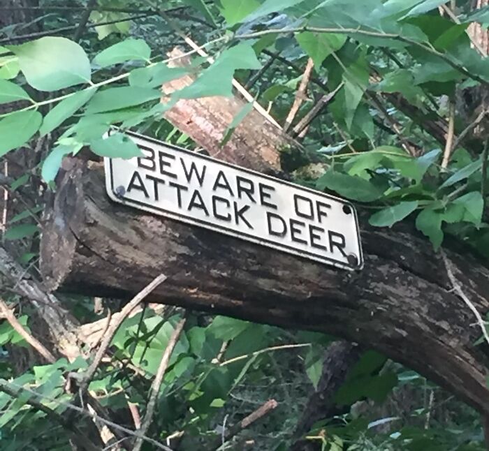 Hilarious-Useless-Unsuccessful-Unpopular-Signage