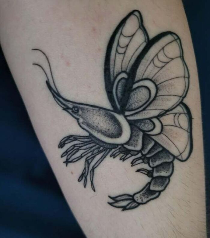 A black and gray butterfly tattoo with intricate design on a person's arm.