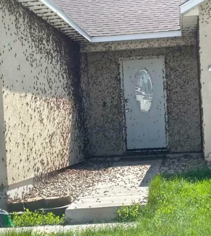 ¿Y qué se hace en estos casos?