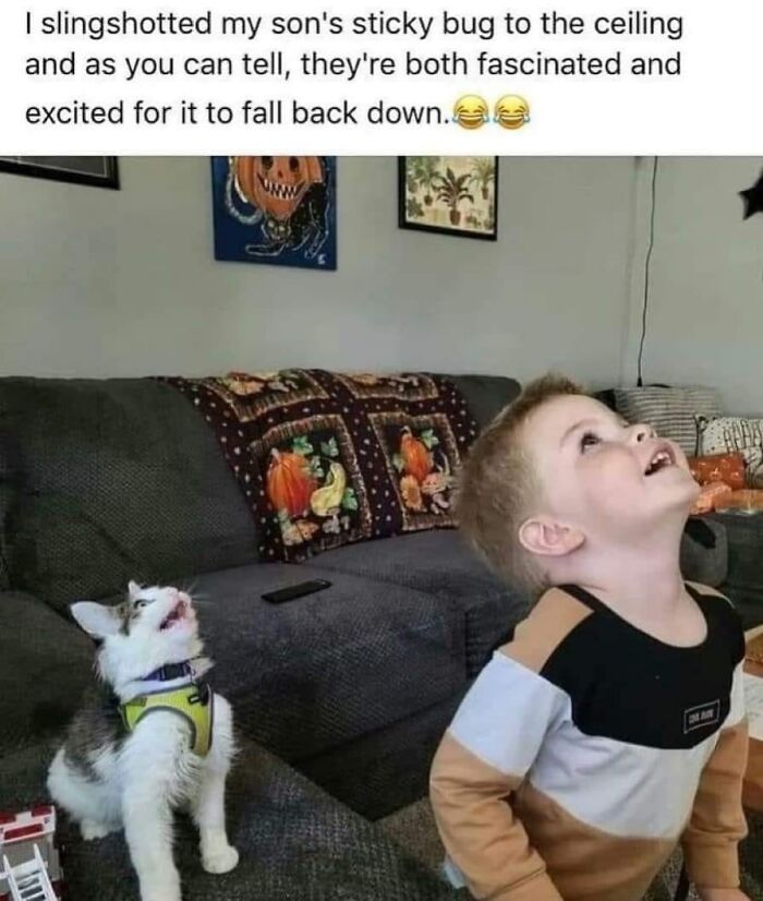 Funny-Kitty-Litterposting-Pictures