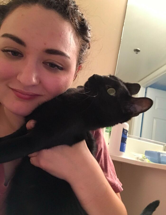 I’m Drunk And I Tried To Take A Selfie With My Cat. She Was Startled