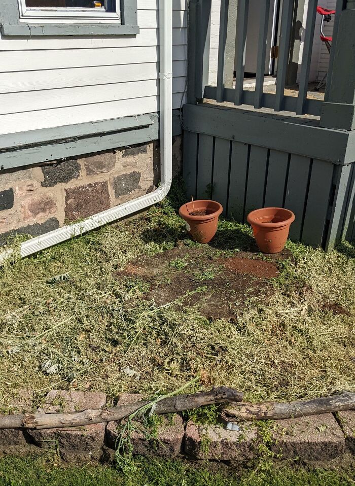 Landlord Mowed My Garden