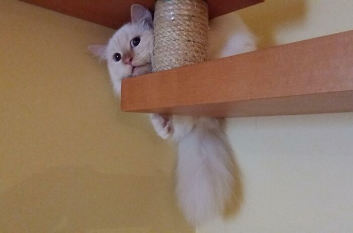 I Dropped Her Water Dish And She Took Off