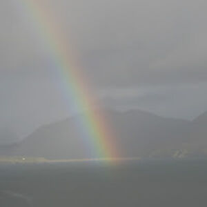 elainecoughlin avatar