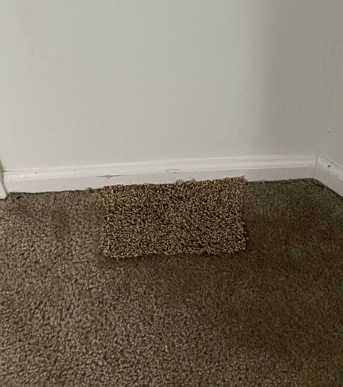Just Moved Into A New Home And Found Where The Landlord Patched The Carpet