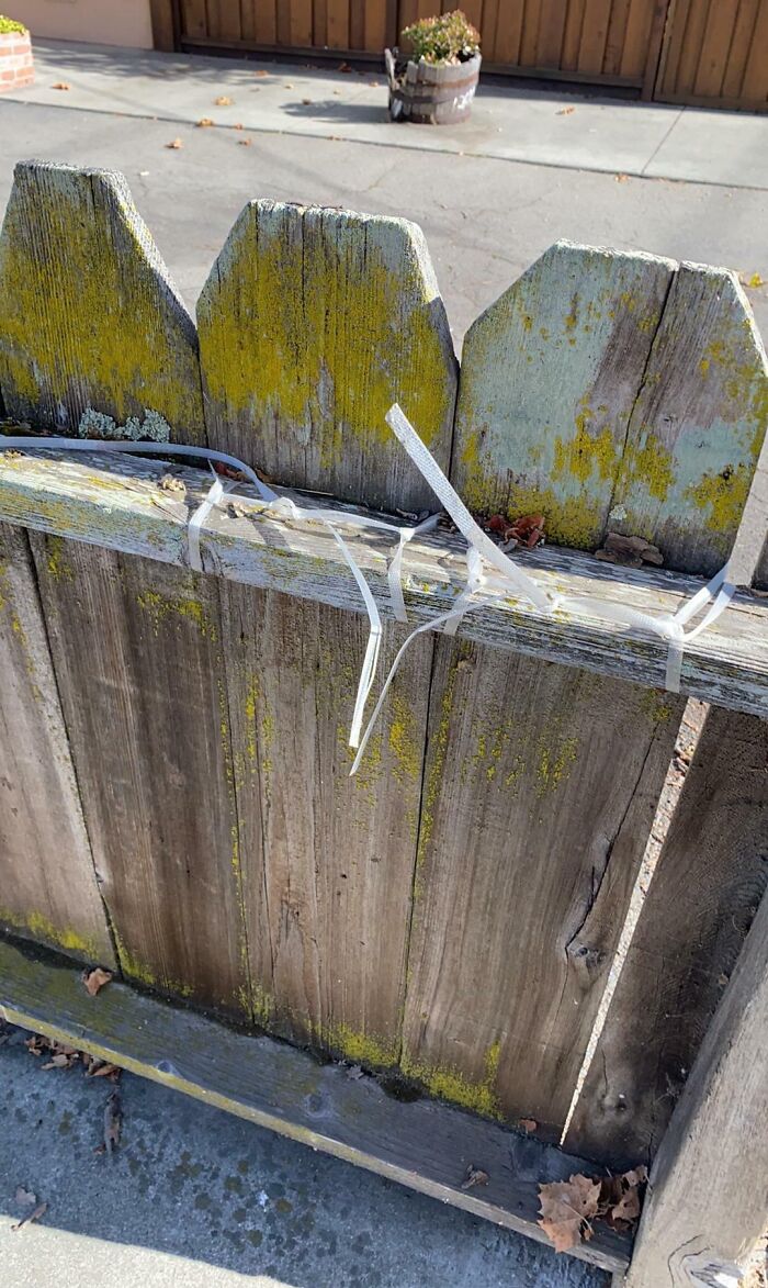 Landlord Said The Screws Weren’t Holding