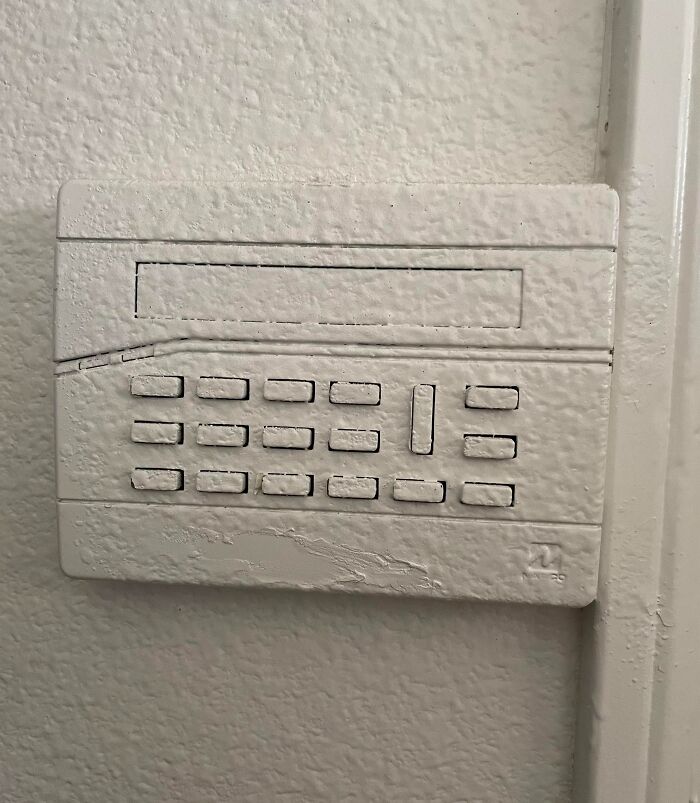 We Call This One “The Landlord Supremo”