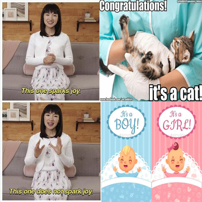 I Made This! I Wish More People Around Me Were Having Cats Instead Of Human Children!