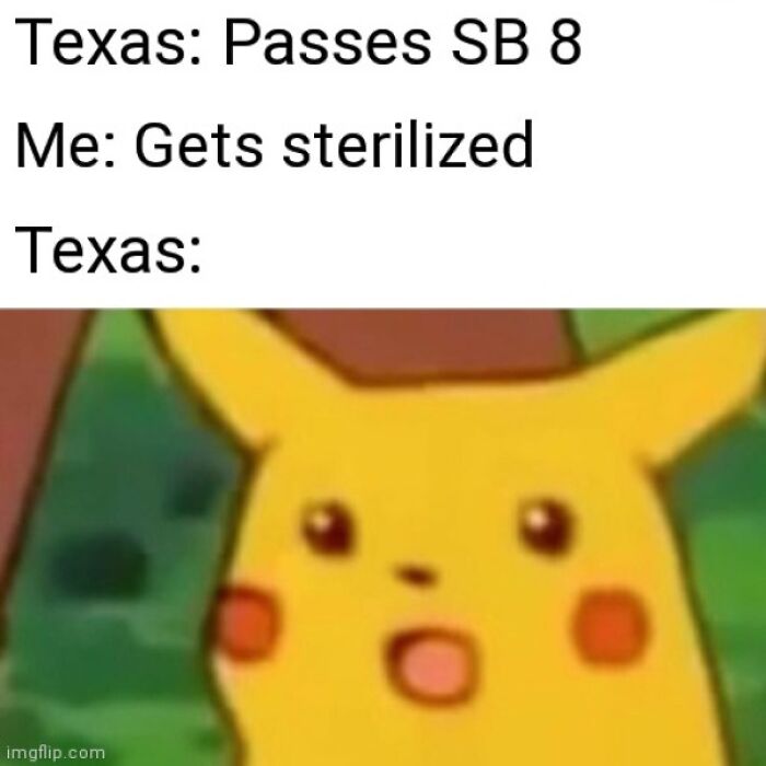 If I Can't Get An Abortion, I'll Just Remove The Whole Damn Thing Then!