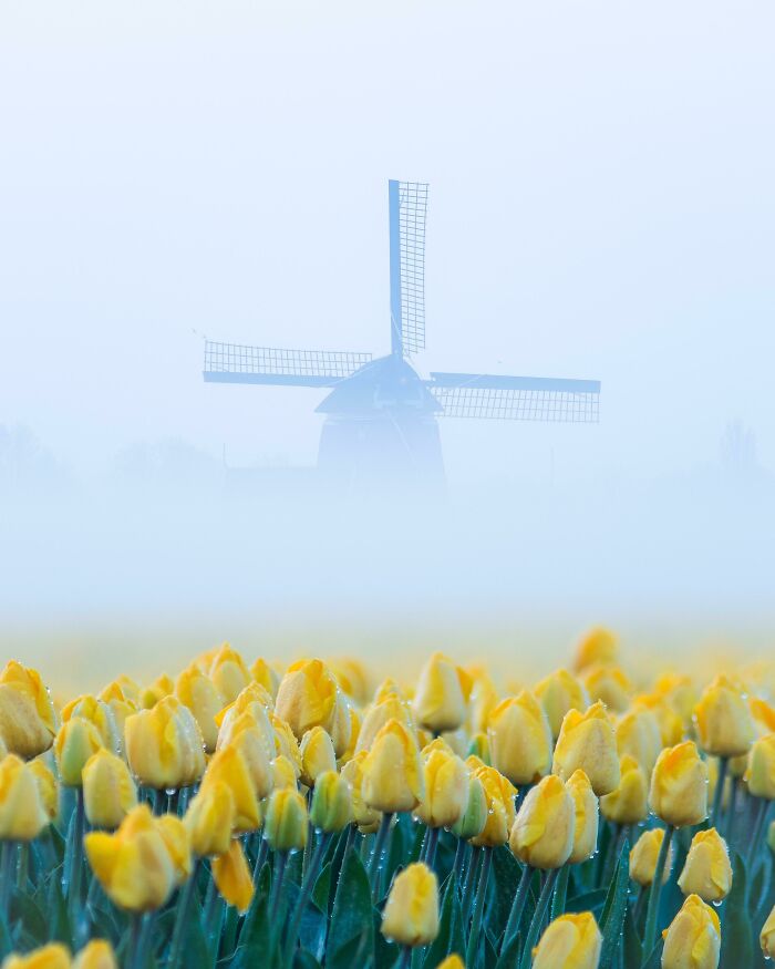 ITAP Of A Windmill