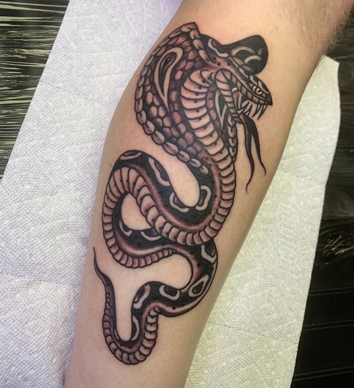 American traditional snake tattoo on an arm, showcasing bold black and white design.