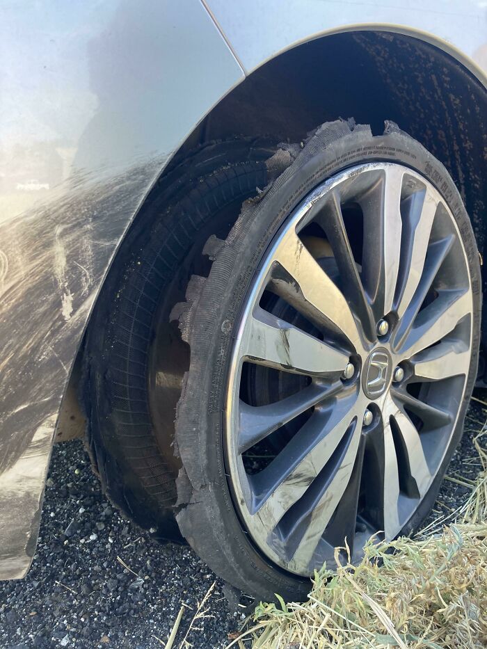 My Four Friends And I Are On Our Way Home From A Road Trip 1200 Miles Out