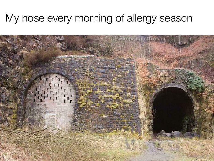 Funny meme of two tunnels resembling a nose, captioned "My nose every morning of allergy season."