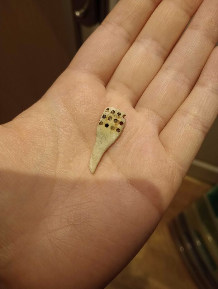Small mysterious object with holes held in an open hand, illustrating unusual items people stumbled upon.