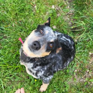 hannahcockrell_1 avatar