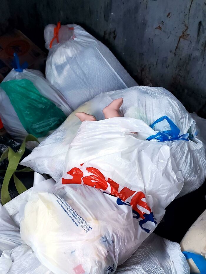 Tired This Morning And Went To Throw The Trash Out... Had A Heart Attack For A Second