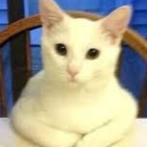 charlottegolden avatar