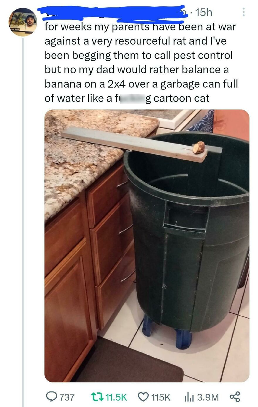 Tom & Jerry Irl