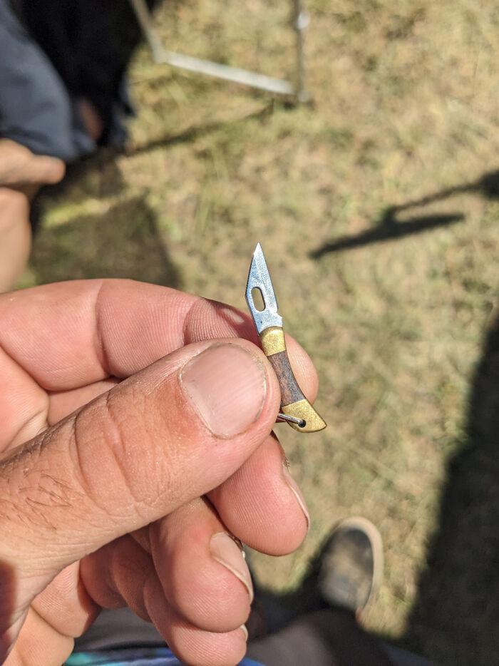 I Found A Tiny Pocket Knife At A Music Festival