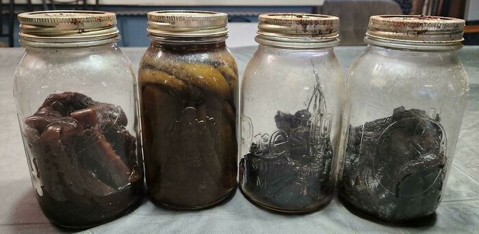 Found Homemade Pickles In My Basement From 18+ Years Ago