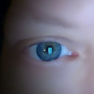 rachelmitchell avatar