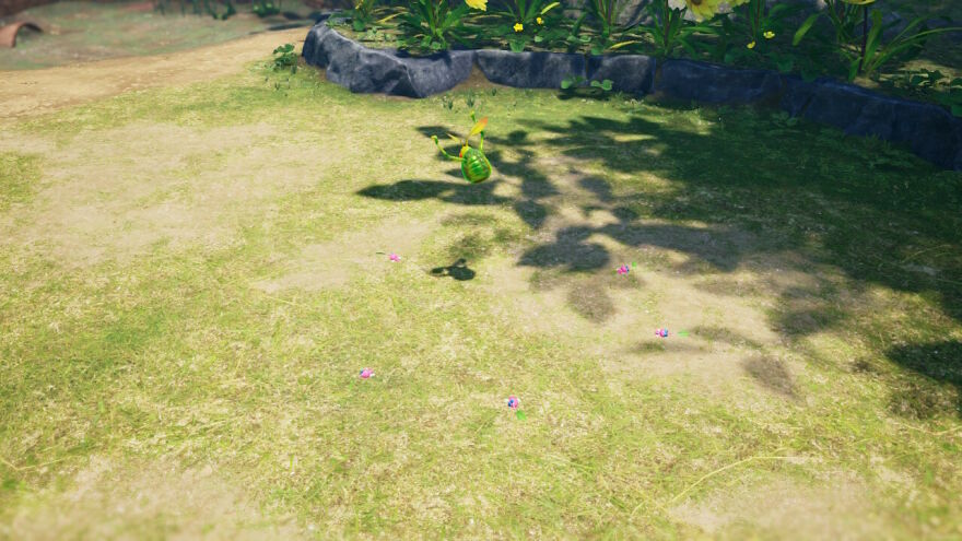 Swooping Snitchbug At Its Best