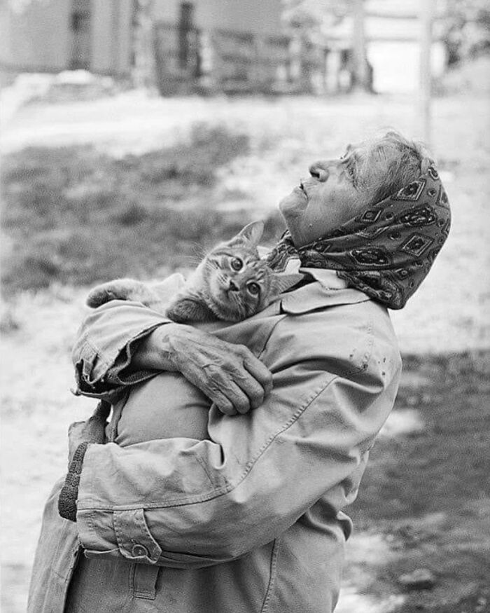 I Collected The Best Cat Photographs From This Street Photographers Account (47 Pics)