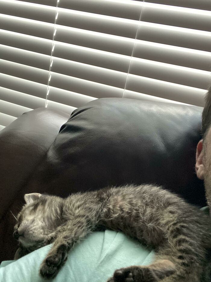 [oc] Daughter Brought Her Home Two Weeks Ago. Nursed For A Week With Kmr. Now We Cook A Little Chicken For Her (She Won’t Eat Fancy Feast Yet). Single Dad With Two Kids And Never Had A Kitten Before