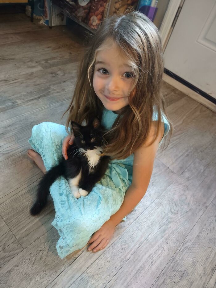 Granddaughter's First Kitten. She Named Her Fluffernutter