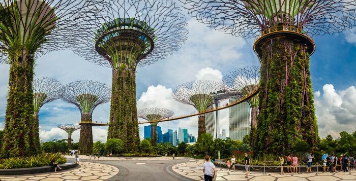 Supertree Grove, Singapore