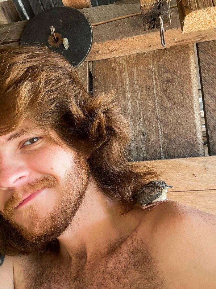 I Was In My Shed Working On A Camper For My Truck When I Was Mistaken For A Nest By A Baby Bird