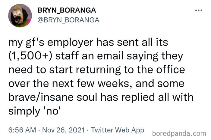 Tweet about an employee boldly replying no to a mass email demanding staff return to the office, showcasing vandalism for humanity.