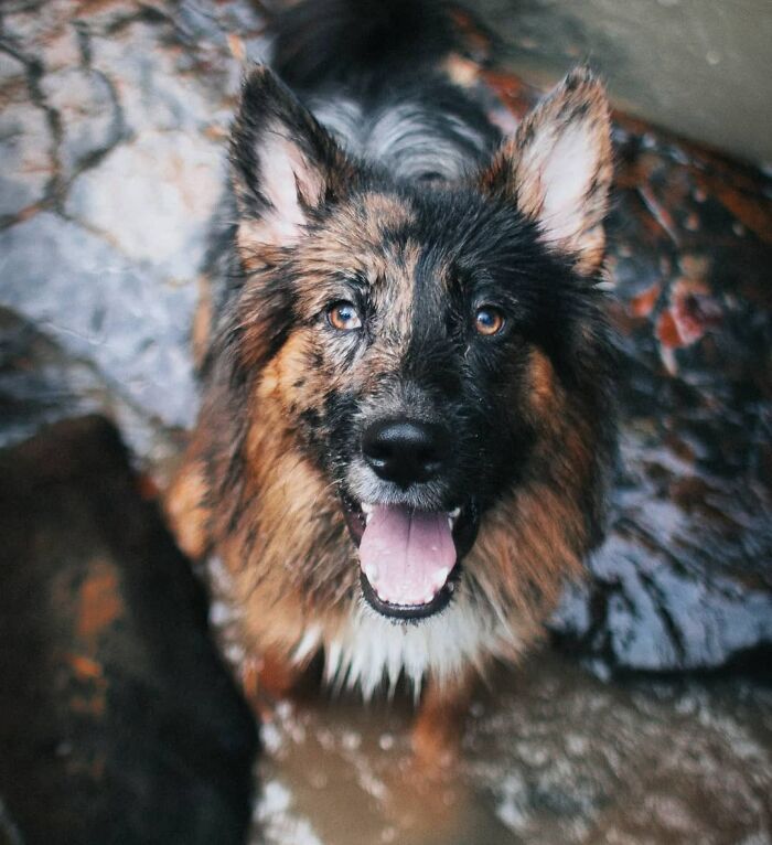 Look At This Handsome Guy